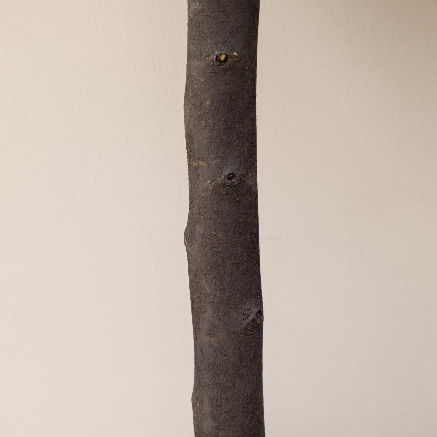 HOMCOM 2er-Set Künstlicher Buchsbaum, 2 Buchsbäume, Outdoor, 20 cm x 20 cm x 60 cm, Grün + Braun+ Schwarz