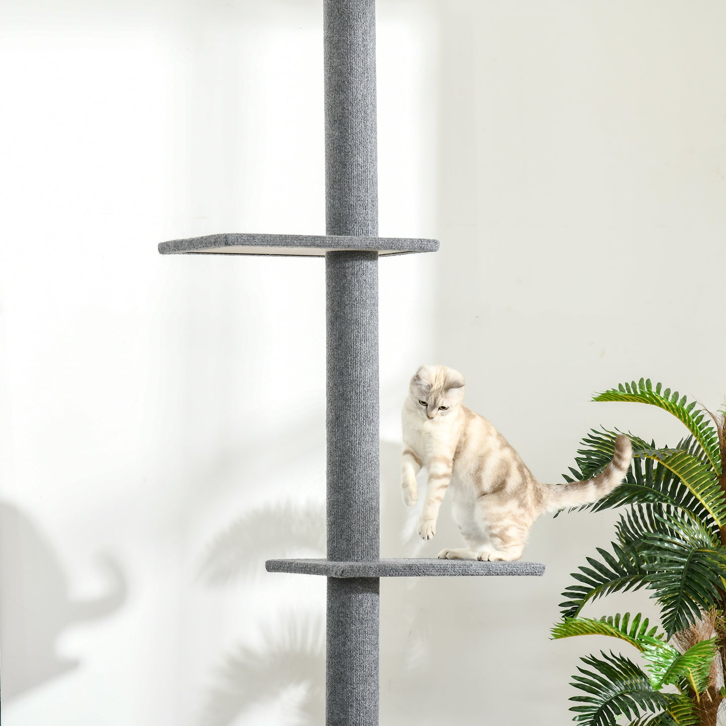 PawHut Kratzbaum deckenhoch Höhe 228-260 cm Katzenbaum mit Plattformen mehrstöckiger Katzenkratzbaum Kletterbaum für kleine & große Katzen, Grau