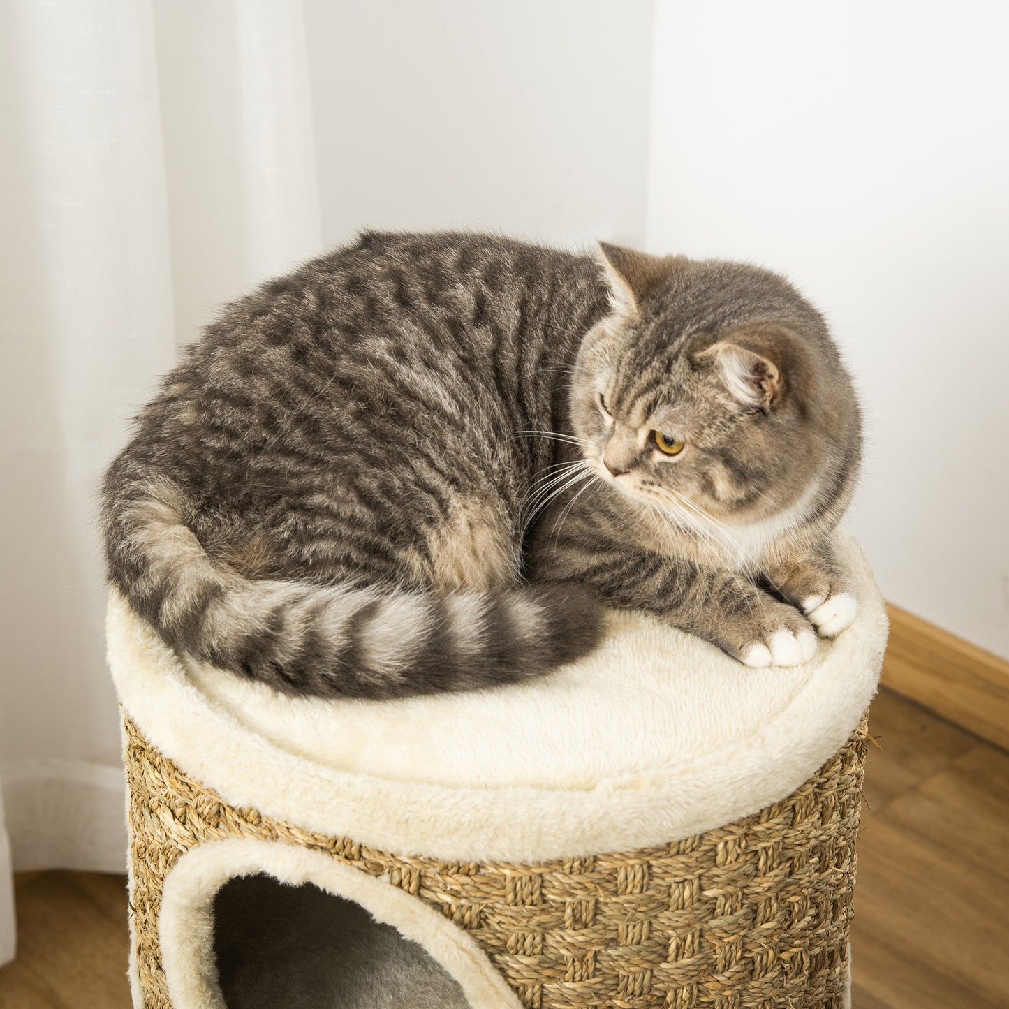 PawHut Kratztonne, Höhe 70 cm, Katzenkratzbaum für katzen 3 Ebenen Katzenbaum Kletterbaum Katzenmöbel mit Sisal Plüsch