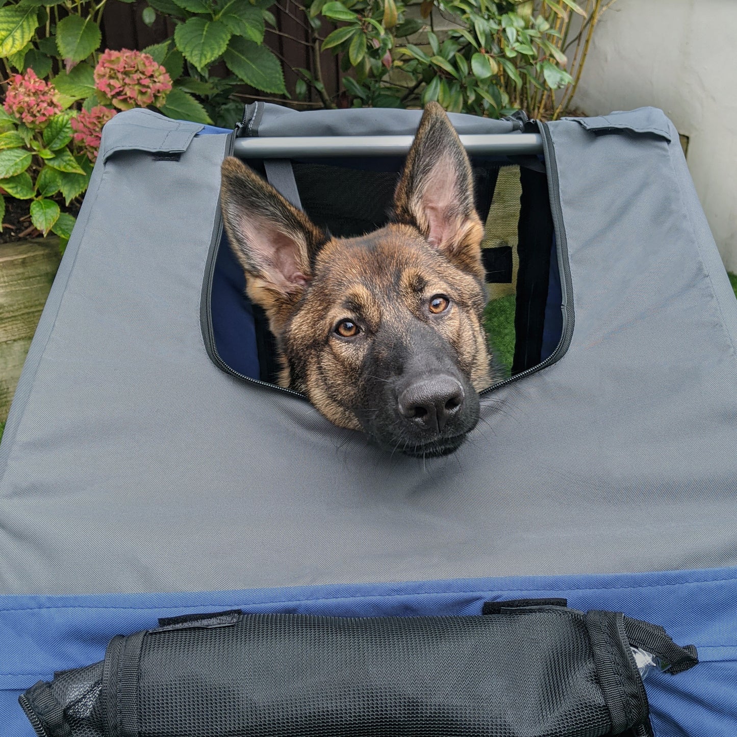 PawHut 2-in-1 Haustieranhänger Fahrradanhänger bis 20kg klappbar Regenschutz Sicherheitsfahne Reflektoren Stahl grau+blau 130 x 73 x 90cm