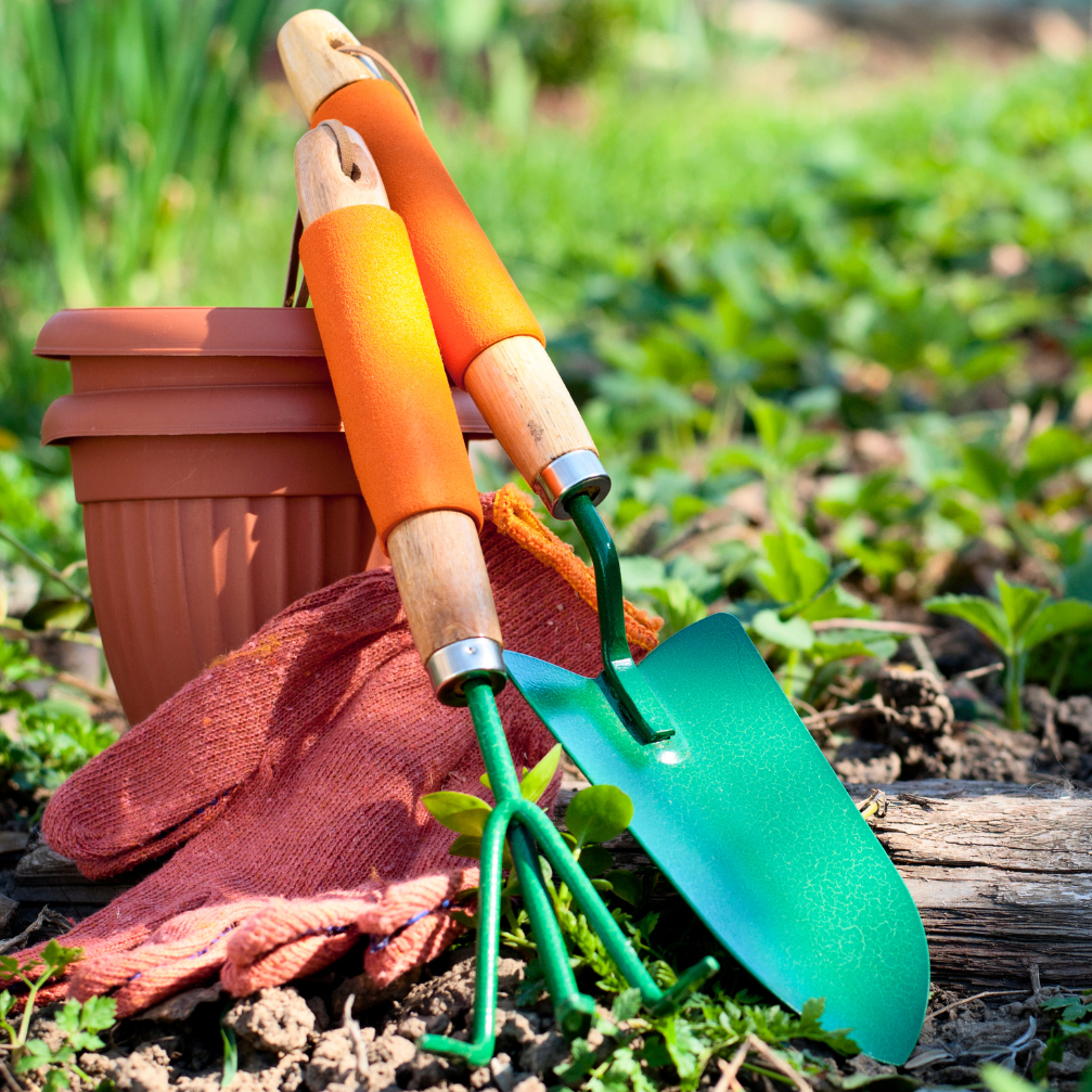 Garden Tools & Equipment