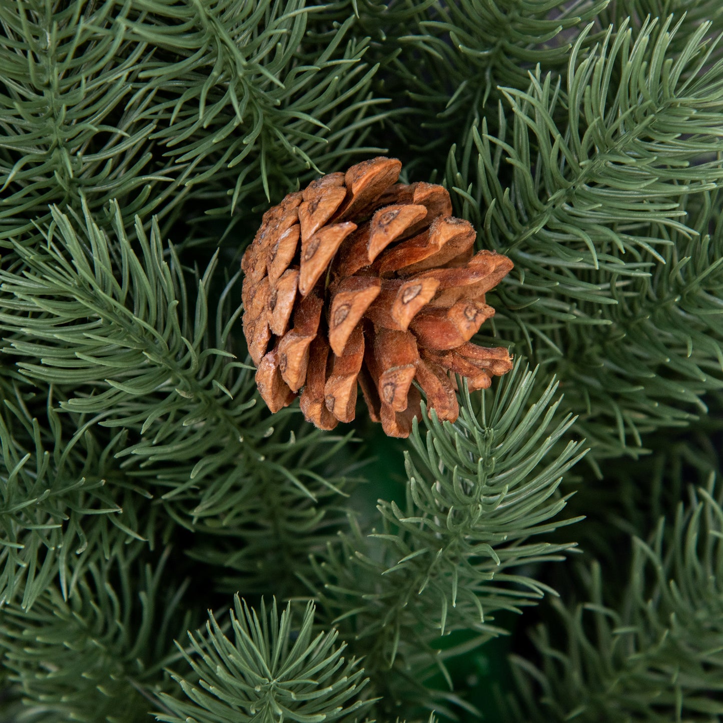 HOMCOM Tannenkranz Türkranz Weihnachtskranz Rückseite mit aufhänge Öse PE Grün Ø60 x 8 cm