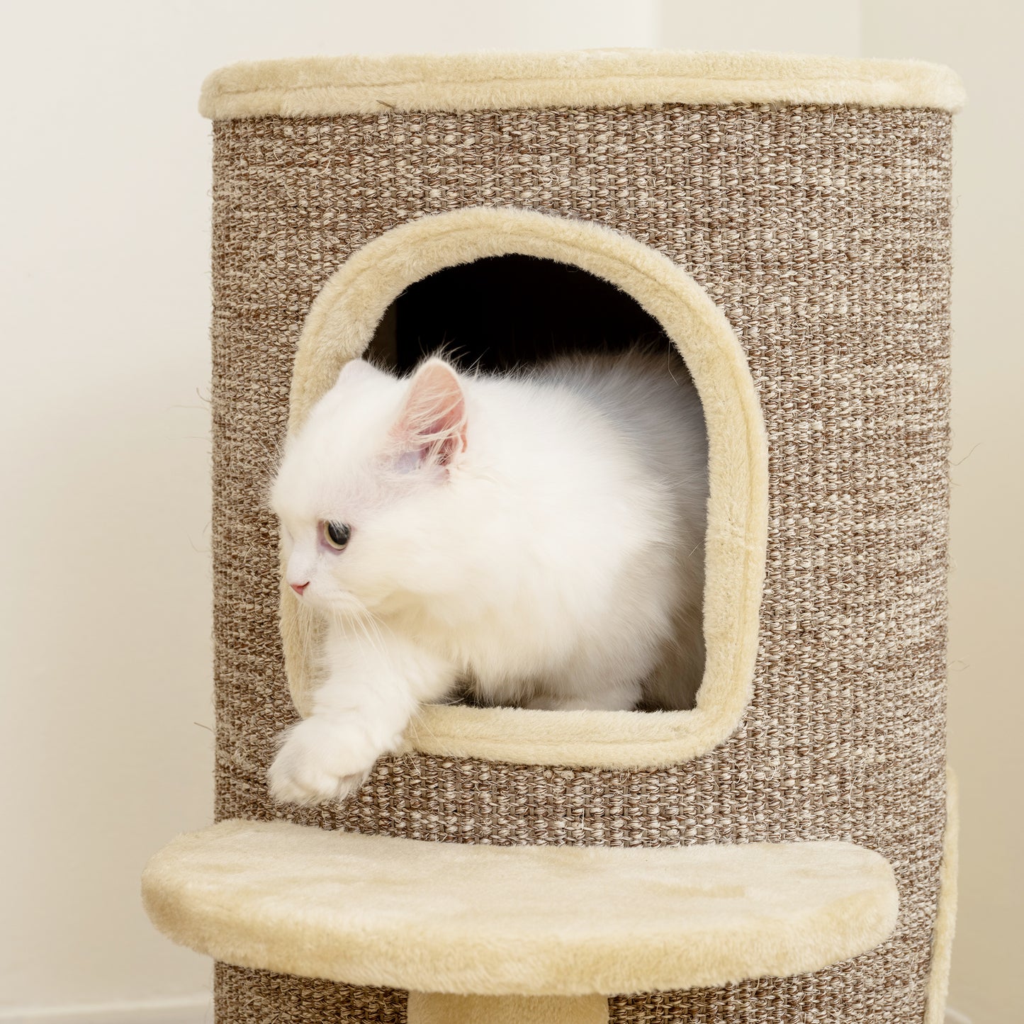 PawHut Katzenfass, Kratzbaum mit 2 Ebenen, Sprungplattform, Aussichtspunkt, Kratzmatte, zum Ausruhen und Spielen, Beige