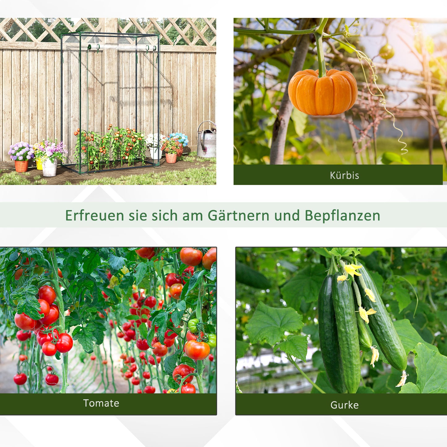 Outsunny Gewächshaus Treibhaus Tomatenhaus Frühbeet mit Tür zum Aufrollen Stahl Kunststoff Transparent 100x50x150cm