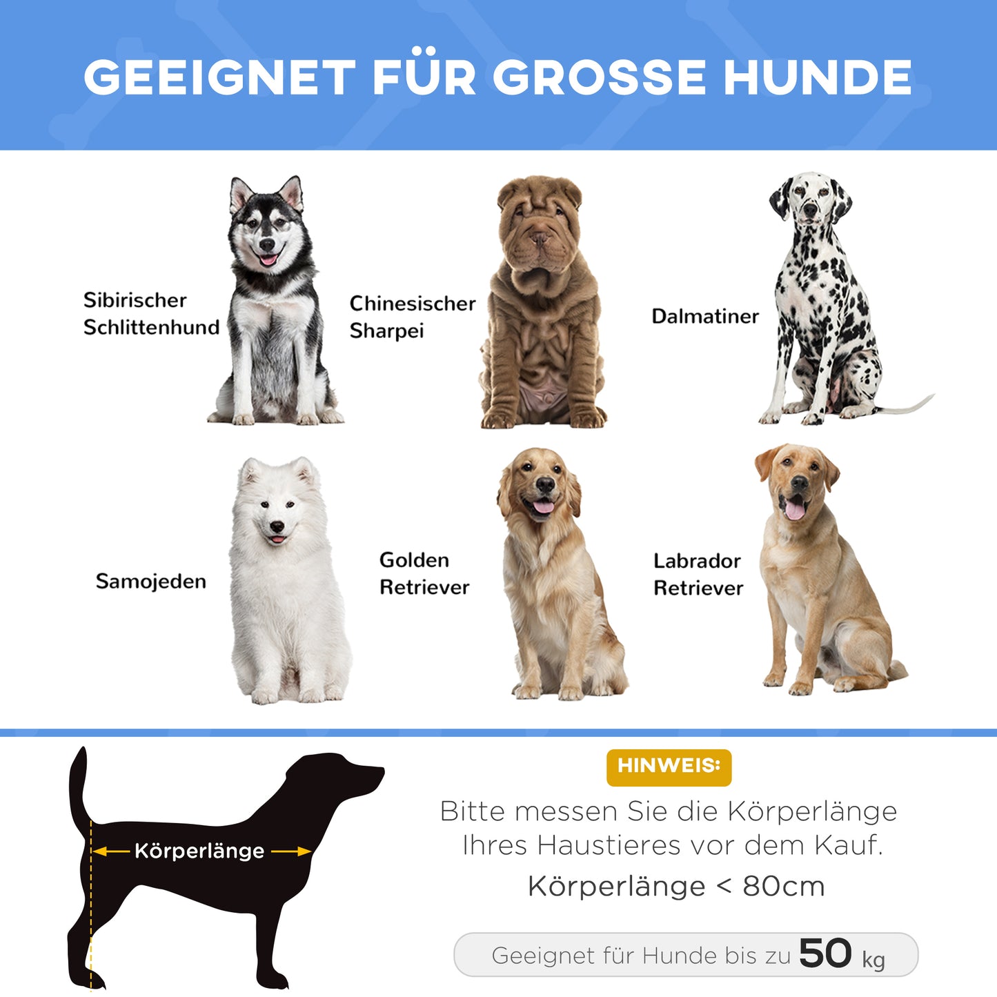 PawHut Hundebett, faltbar, Outdoor-Hundebett, erhöhter Stand, 122 cm x 92 cm x 23 cm, Blau + Schwarz