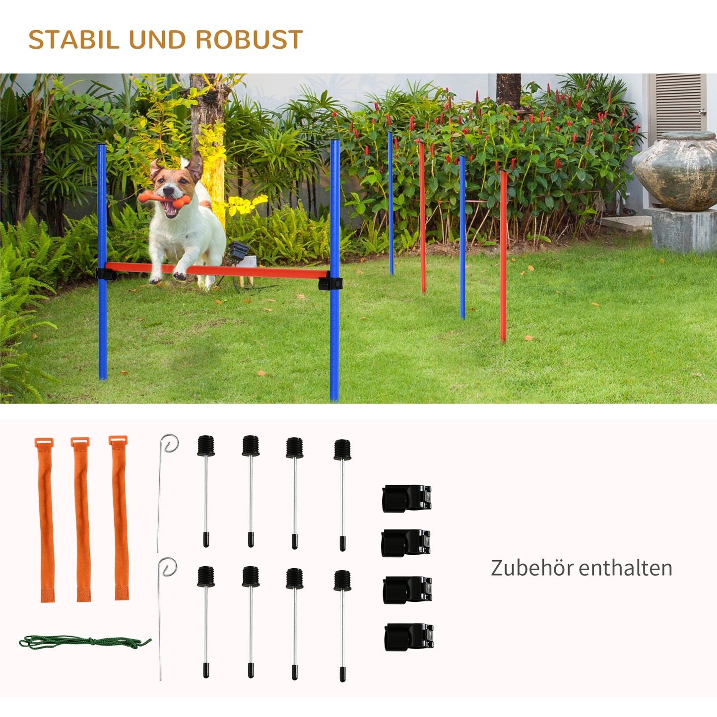 PawHut Hunde-Agility-Trainingsgeräte, Agility-Übungs-Set, Hund Agility Set, Slalom-Hürden-Sprungring für Hunde, 3 in 1 Hundesport Trainingsplatz, Blau+Rot