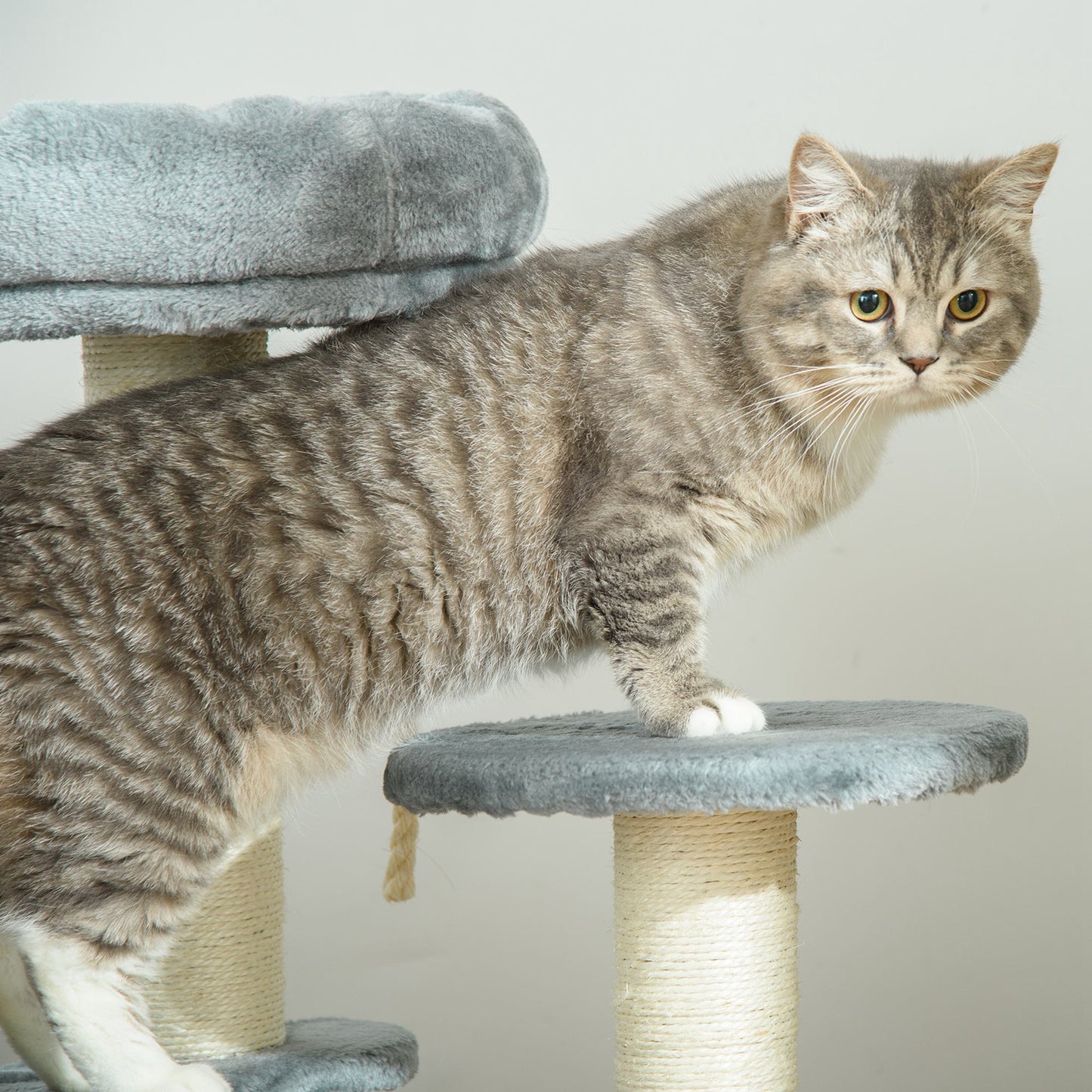 PawHut Katzenbaum Kletterbaum mit Hängematte, 3-Stufiger Spielbaum mit Katzenbett Katzenkratzbaum mit Sitzplattform, Sisalsäulen, Grau Ø40 x H65 cm