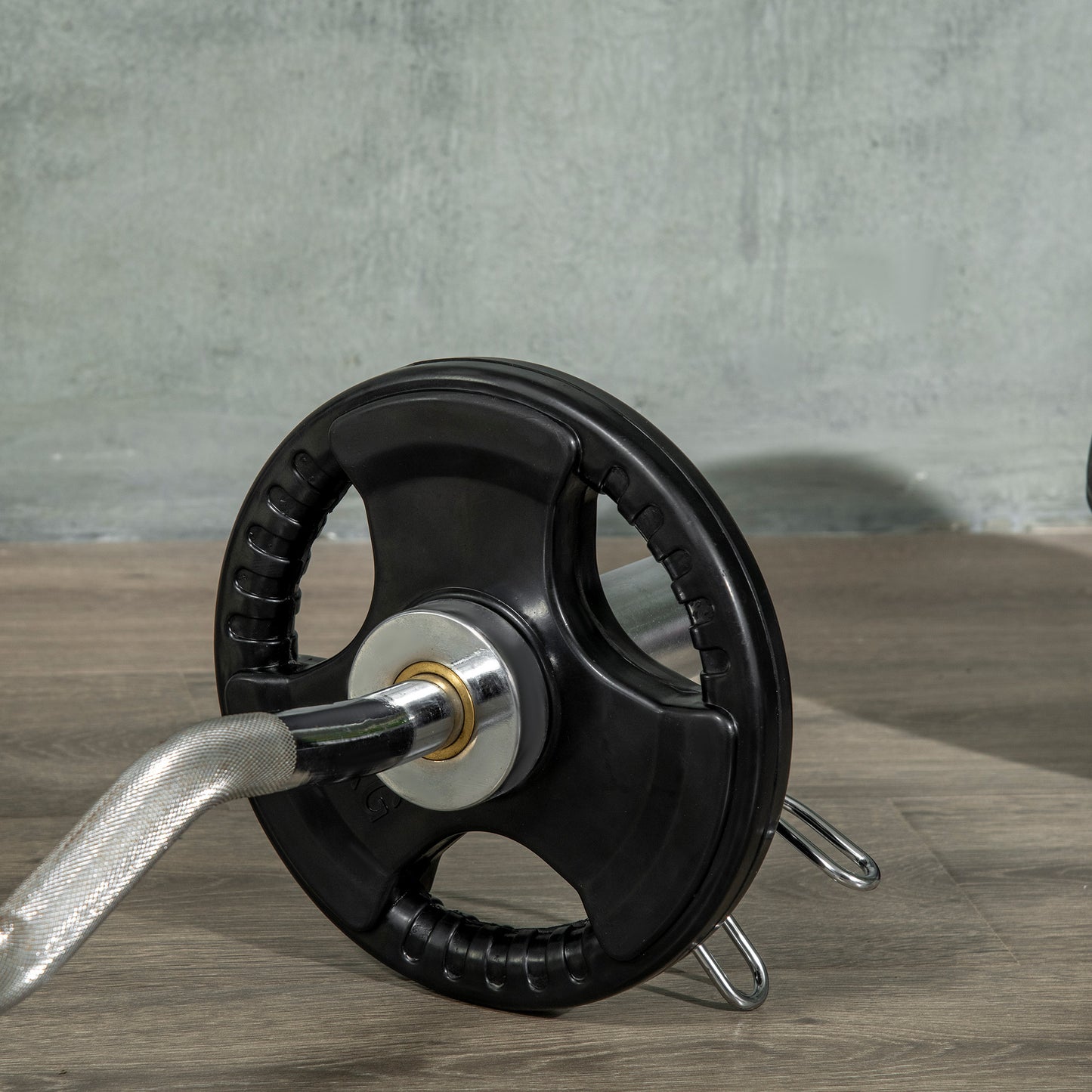 SPORTNOW Hantelscheibe, 2er-Set, 10 kg pro Scheibe, drei Griffe, bodenschonender Gummimantel, Metall