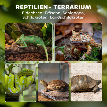 PawHut Glas-Terrarium für Reptilien, erhöhter & wasserdichter Boden, Knopfschloss