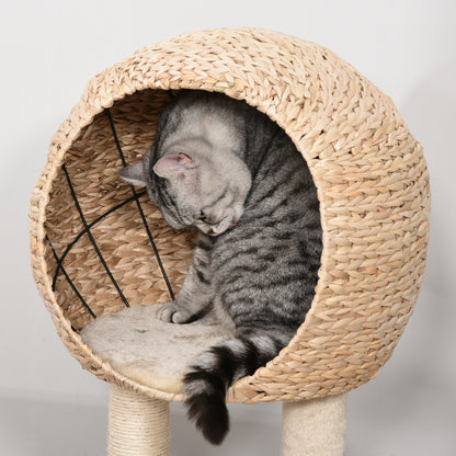 PawHut Kratzbaum 100 cm Katzenturm mit Höhle, Spielball, Sisalstämme, Plattform, mehrstöckiger Katzenkratzbaum, Kletterbaum, für mittelgroße Katzen, Beige