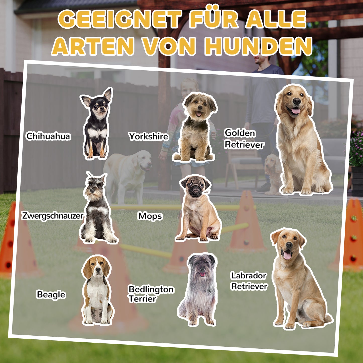 PawHut Agility Set Hunde 6-teiliges Agility-Ausrüstung für Hundetraining Steckhürdenset mit 12 Kegel 6 Hürden Tragetasche