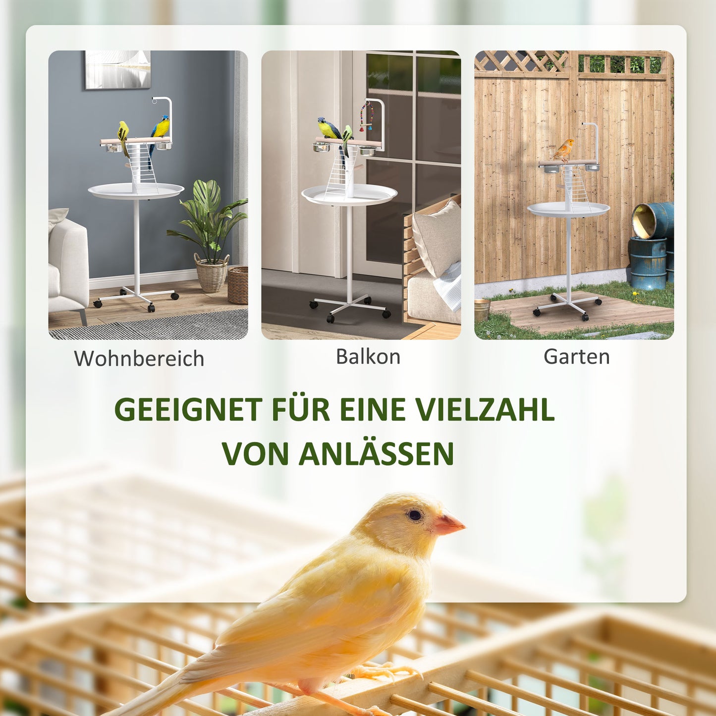 PawHut Anflugstange Freisitz für Papageien Sitzstange, 1 Leiter, 1 Schaukel, Futternäpfe, 60 x 60 x 138 cm, Weiß + Natur