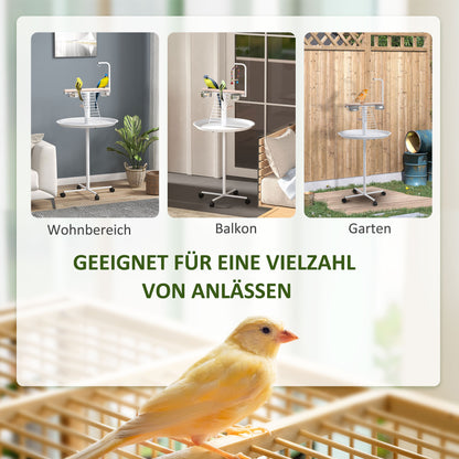 PawHut Anflugstange Freisitz für Papageien Sitzstange, 1 Leiter, 1 Schaukel, Futternäpfe, 60 x 60 x 138 cm, Weiß + Natur