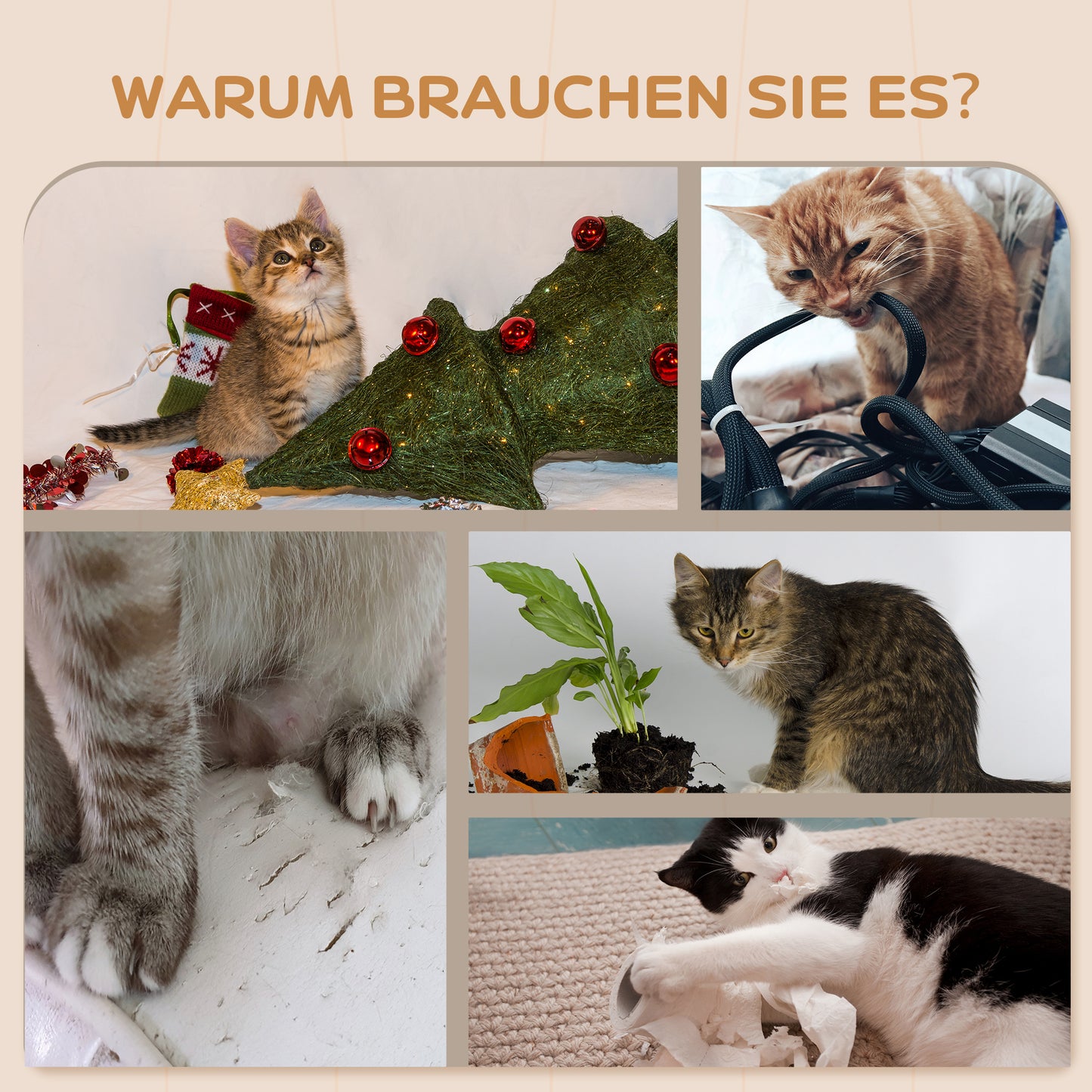 PawHut 5-teiliges Katzen-Kletterset mit Kratzpfosten, Sprungplattformen, Leiter, Haus, Wandmontage, Beige