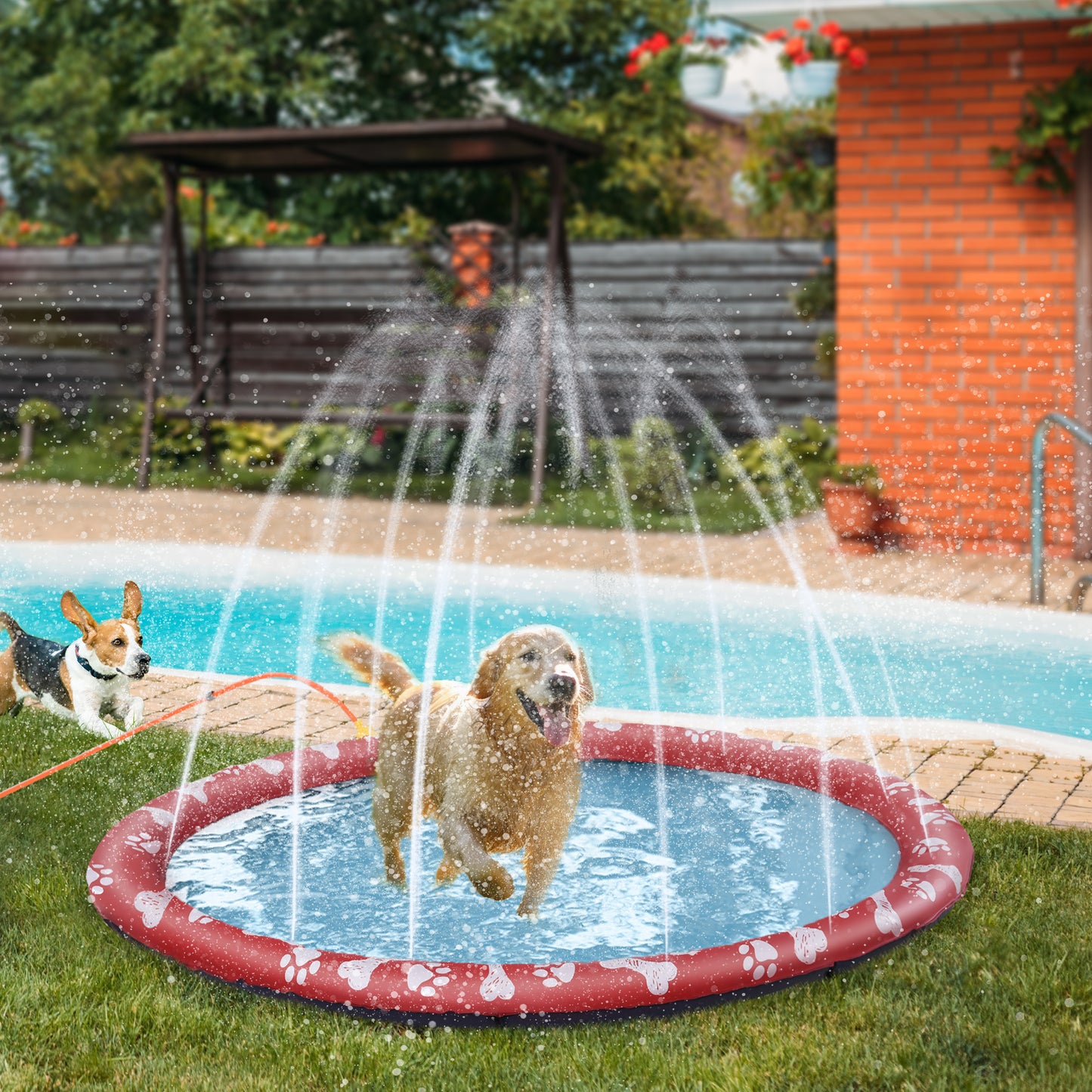 PawHut Hundepool, Wasser-Spielpool, rutschfest, robust, tierfreundlich, Ø170 cm, Rot