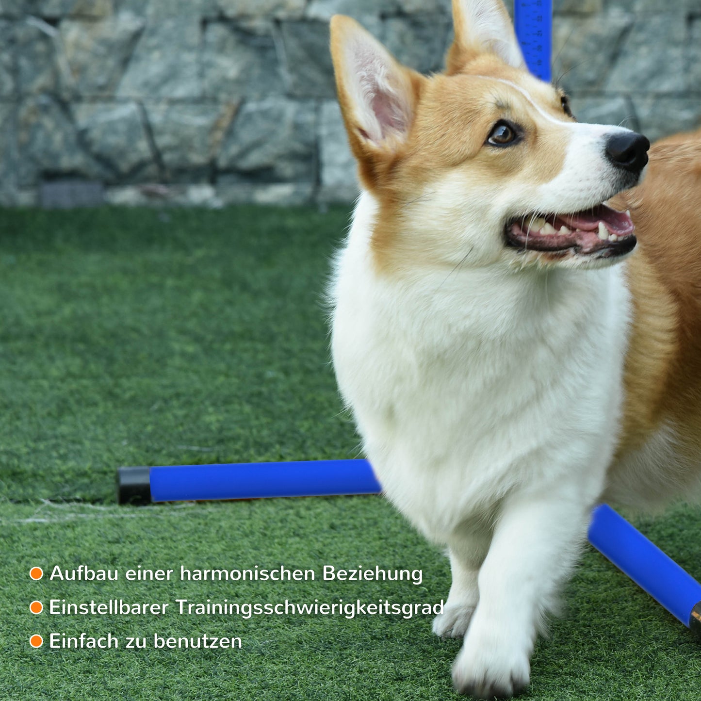PawHut Agility Set Hunde 4-teiliges höhenverstellbar Agility-Ausrüstung Sprungstangen-Set Steckhürdenset mit 4 Hürden Tragetasche Koordinationstraining Sprungstangen-Set für Spiele Training