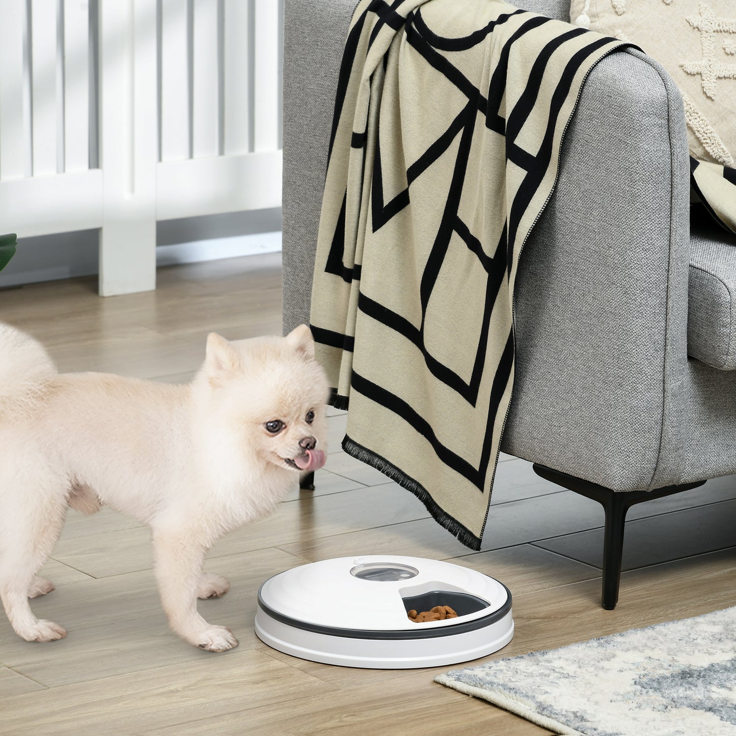 PawHut Futterautomat Katze Nassfutter Katzenfutter mit LED-Display, Programmierbarem Timer, 6 Futter-Fächer für je 70 g Trockenfutter 4 Mahlzeiten Automatischer Futterspender für Hunde Katzen