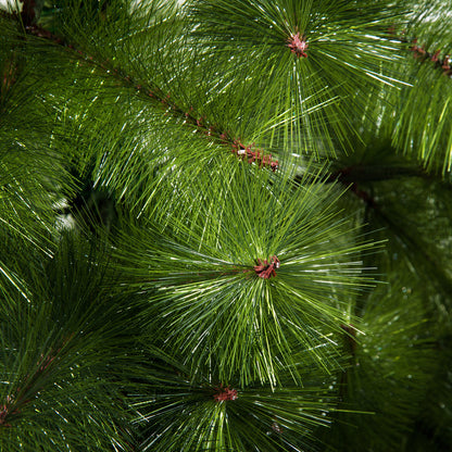 HOMCOM Künstlicher Weihnachtsbaum 210 cm künstlich Tannenbaum mit 505 Spitzen Christbaum Weihnachtsdekoinkl. حامل معدني للشرب