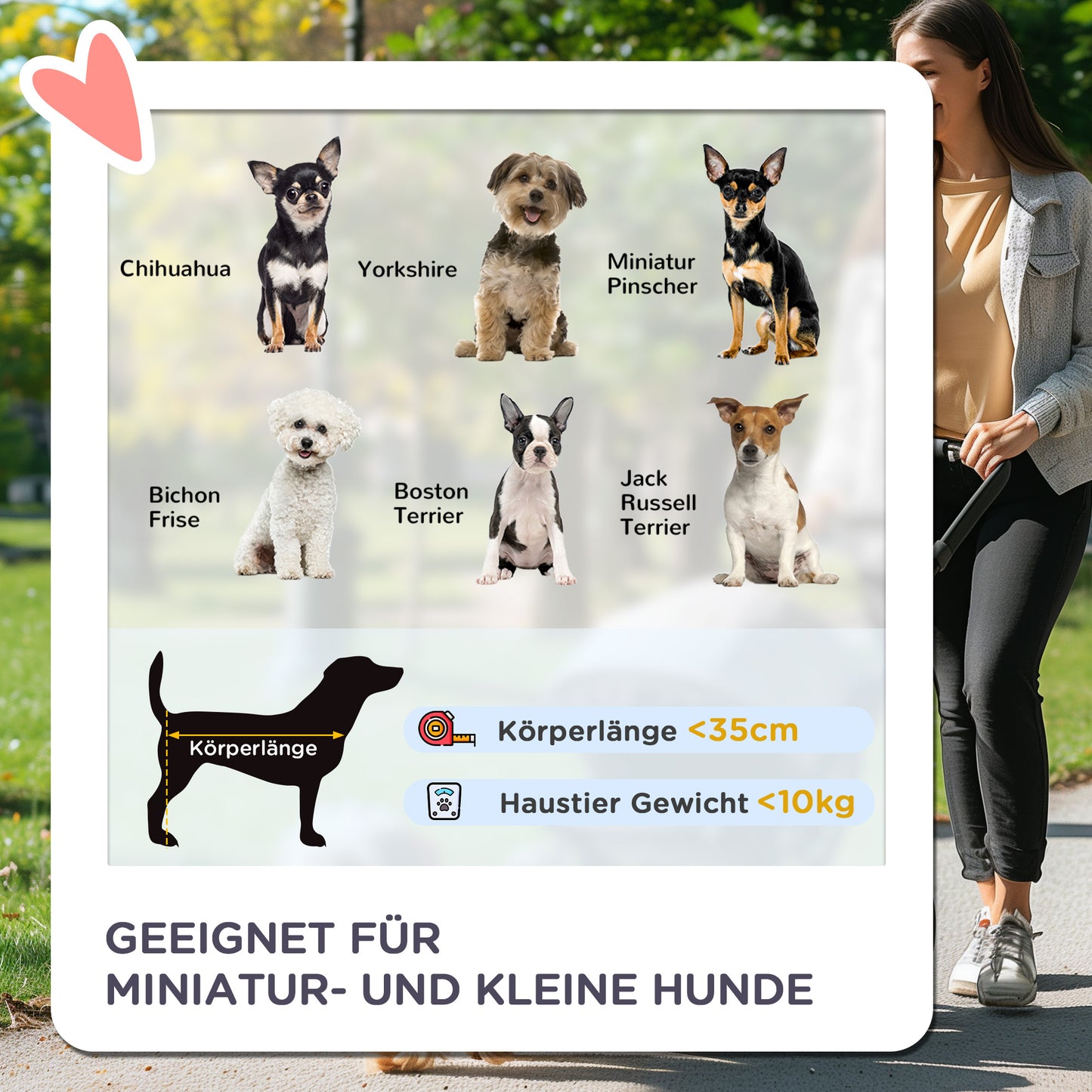 PawHut Hundewagen klappbar mit Becherhalter Sonnendach Schwarz